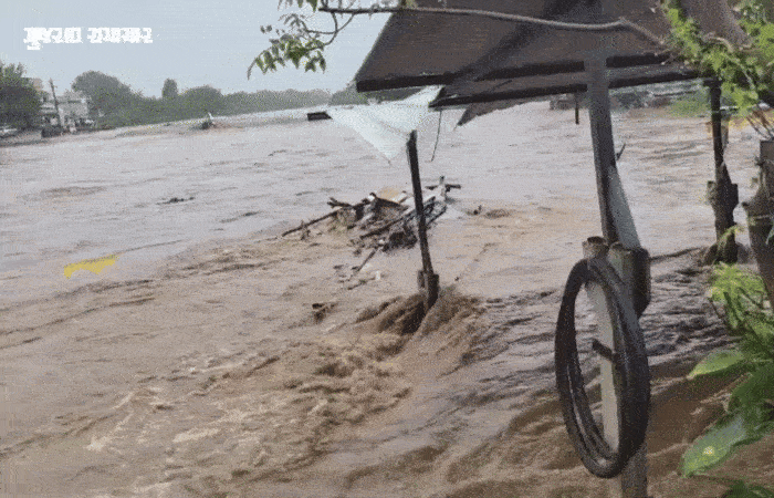 અમરેલીમાં માવઠાનો માર: રાજુલામાં સૌથી વધુ વરસાદ, ધાતરવાડી ડેમ-2ના 10 દરવાજા ખોલાતા નજીકના ગામોને ઍલર્ટ 4 - image