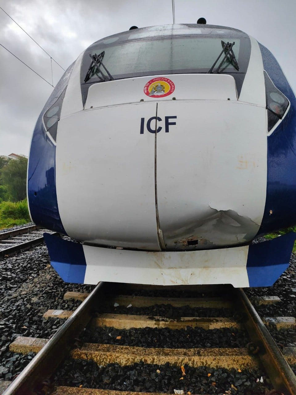 બે દિવસમાં બીજો અકસ્માત: વંદે ભારત ટ્રેન સાથે ગાય અથડાઈ 3 - image