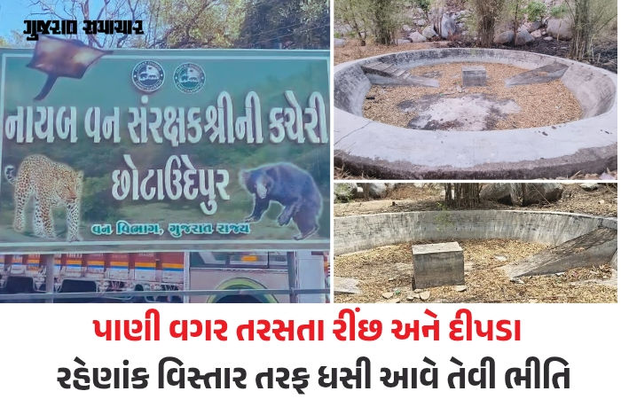 છોટાઉદેપુર: ચેથાપુરના જંગલમાં વન વિભાગની ઘોર બેદરકારી, કાળઝાળ ગરમીમાં વન્યજીવો માટે બનાવેલો હવાડા ખાલીખમ 1 - image