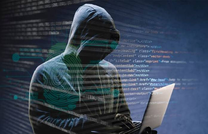 Cyber Fraud