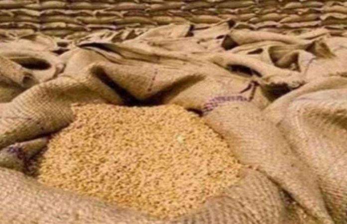 આજથી ગ્રેઇન ATM શરૂ: લોકોને 24 કલાક રેશનિંગનું અનાજ મળશે, જાણો ક્યાં-ક્યાં શરૂઆત 1 - image