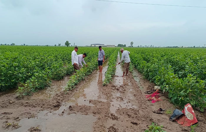 હળવદનો જીવાદોરી સમાન બ્રહ્માણી-1 ડેમ ઓવરફલો 2 - image