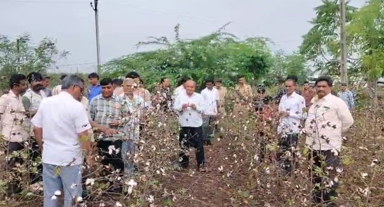 'મગફળીના પાથરા તણાયા, કપાસ પલળી ગયો...', અમરેલી પંથકમાં કમોસમી વરસાદના કારણે ખેડૂતોમને મોટાપાયે નુકસાની, સરકાર પાસે સહાયની માગ 4 - image