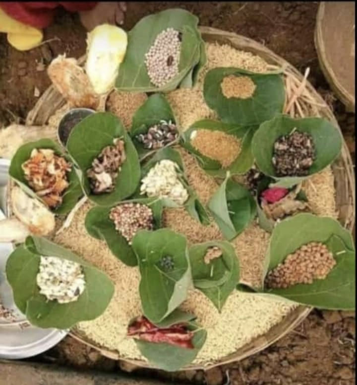 ખેડૂતોએ અખાત્રીજે કૃષિ સાધનોની પૂજા બાદ ખેતીનો કર્યો પ્રારંભ, પાકના સારા ઉત્પાદનની કરી પ્રાર્થના 2 - image