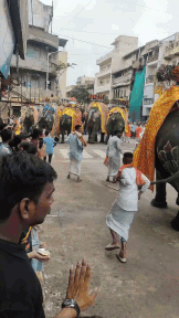 Elephants go berserk during Ahmedabad rathyatra three people injured