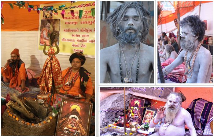 ભવનાથમાં અલખ નાદ: સાધુઓના ધૂણા અને ભસ્મનું ગૂઢ રહસ્ય, જાણો આધ્યાત્મિક અને વૈજ્ઞાનિક મહત્ત્વ 1 - image