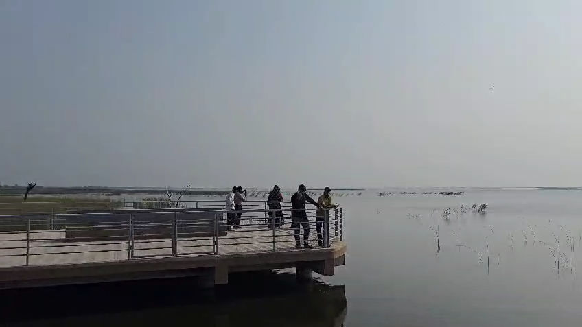 નળ સરોવરમાં બોટિંગ બંધ: પ્રવાસીઓને  'વીલા મોઢે' પાછા ફરવાનો વારો, સ્થાનિકોની રોજીરોટી છીનવાઈ 5 - image