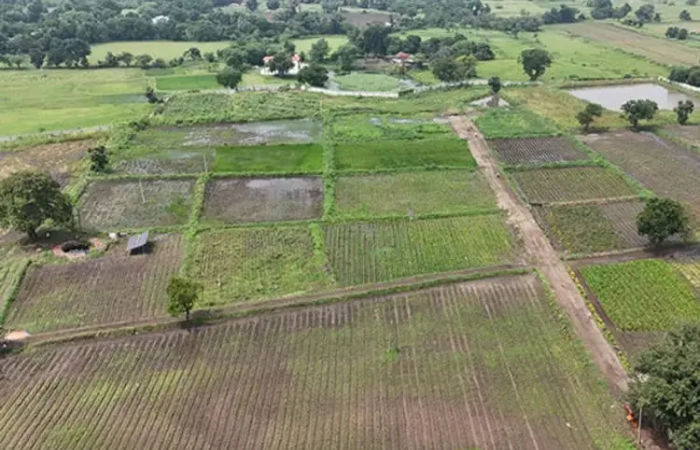 Non-Agricultural Land Conversion Made Simpler in Gujarat, Old Tenure Applied to New Lands