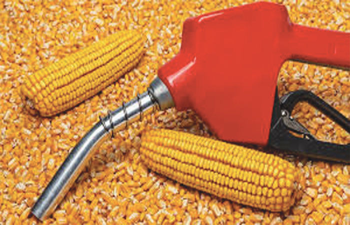 બજારની વાત                          . 7 - image