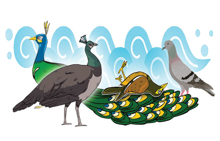 હવે હું ઊડી શકીશ . 1 - image