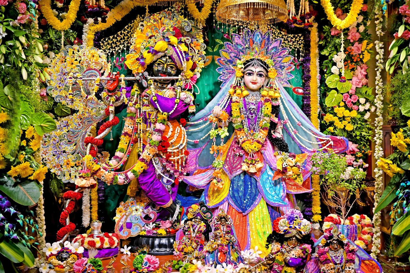 અમદાવાદના હરે કૃષ્ણ મંદિરમાં 'રાધાષ્ટમી'ની ભવ્ય ઉજવણી, ભક્તો શ્રદ્ધાથી ઝૂમી ઉઠ્યા 8 - image