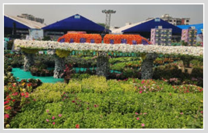 સુરત ફ્લાવર શો: અમદાવાદની નબળી કોપી કર્યાનો આક્ષેપ, મેટ્રોની કૃતિ જોઈ સુરતીઓએ ઉડાવી મજાક! 2 - image