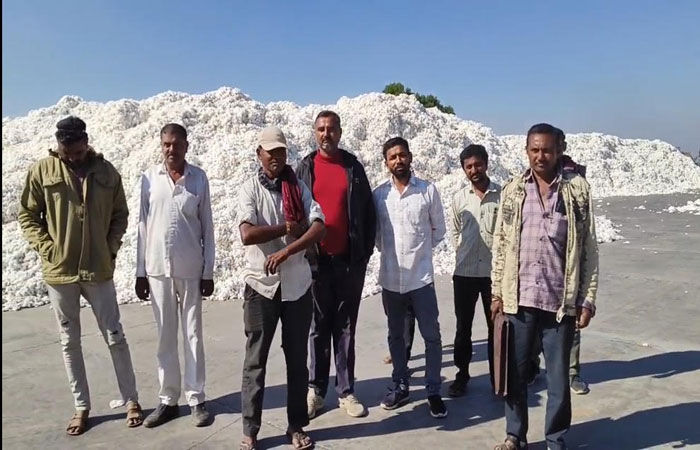 સાયલામાંં સીસીઆઇ કેન્દ્રમાં 'બી' ગ્રેડના કપાસની ખરીદીની માંંગ 1 - image