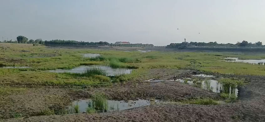 અમરેલીના લાઠી પંથકમાં વરસાદ ખેંચાતા ખેડૂતો ચિંતિત, જળસ્રોત ખાલીખમ 2 - image