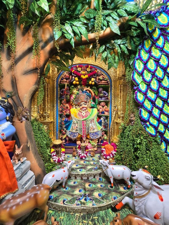 ફોટા: સલંગપુરમાં જનમાષ્ટમી, કિશ્તાભંજાન દાદાની થીમ આધારિત શણગાર, દર્શન 4 - છબી