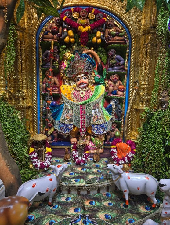 ફોટા: સલંગપુરમાં જનમાષ્ટમી, કિશ્તાભંજાન દાદાની થીમ આધારિત શણગાર, દર્શન 6 - છબી