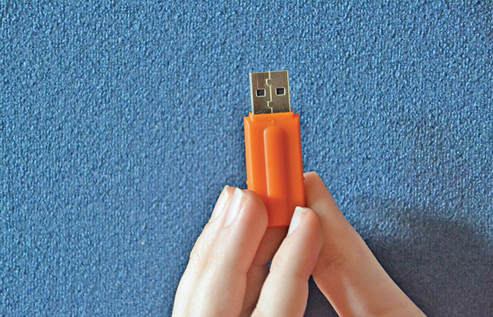 હજારો વર્ષ જીવતો અજાયબી છોડ : વેલ્વેશિયા 2 - image