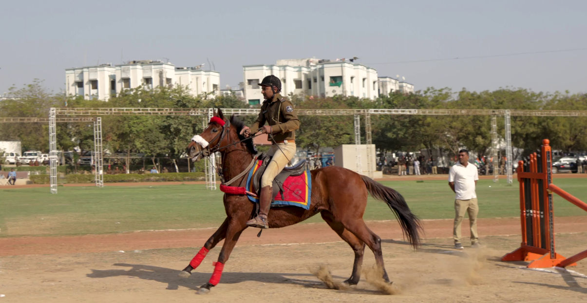 અમદાવાદ: પ્રજાસત્તાક પર્વની ઉજવણીમાં સમ્રાટ સહિતના અશ્વોના કરતબ આકર્ષણનું કેન્દ્ર બનશે, જુઓ તસવીરો 3 - image
