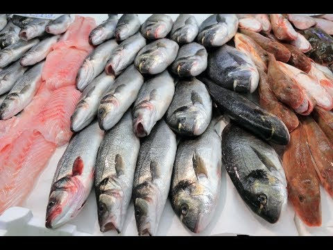 મધ્ય ગુજરાતના પાંચ જિલ્લાના ૪૦૦ તળાવોમાં માછલીઓની ૪૨ પ્રજાતિઓ મળી 1 - image