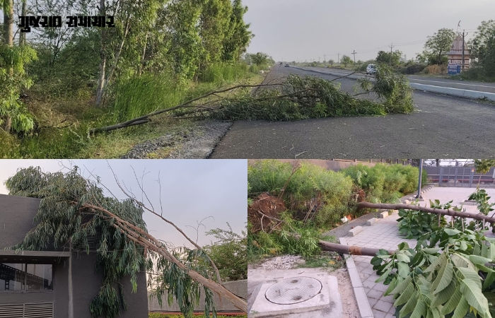 સુરેન્દ્રનગર પર આકાશી આફત: રણમાં અગરિયાઓના ઝુંપડા ઉડ્યા, ખેતરોમાં સોના જેવો પાક જમીનદોસ્ત, જગતનો તાત બેહાલ 4 - image