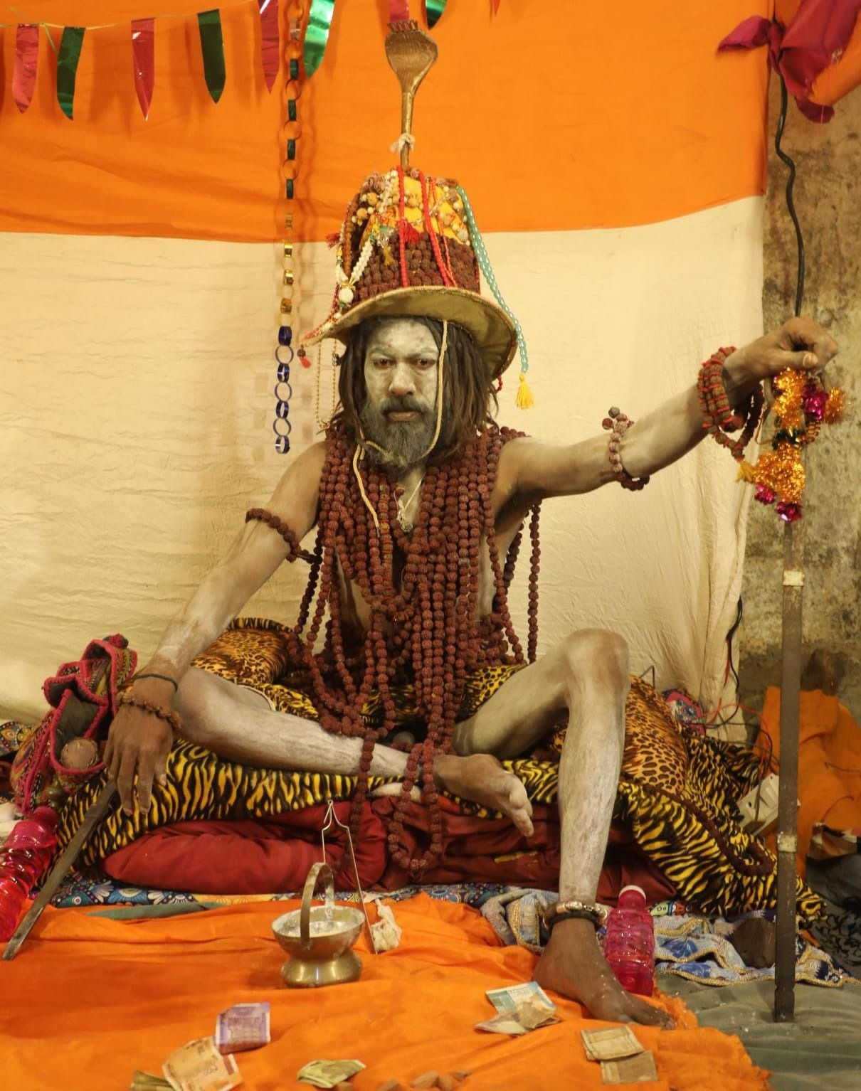 ભવનાથની તળેટીમાં શિવભક્તિનો સાગર, હઠયોગી સાધુઓ અને ભભૂતધારી સંતોના દર્શન માટે ઉમટ્યા શ્રદ્ધાળુઓ 2 - image