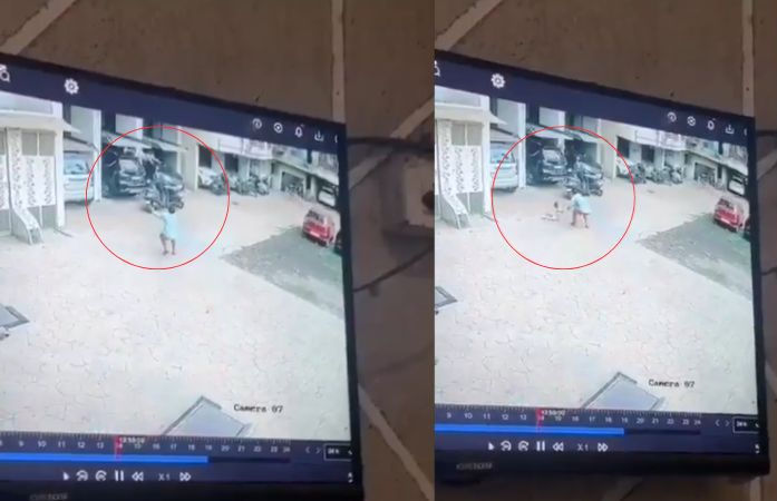 VIDEO: રમતાં-રમતાં બીજા માળેથી પડ્યું બે વર્ષનું માસૂમ, જોતા જ દોડ્યો વ્યક્તિ અને.. 1 - image