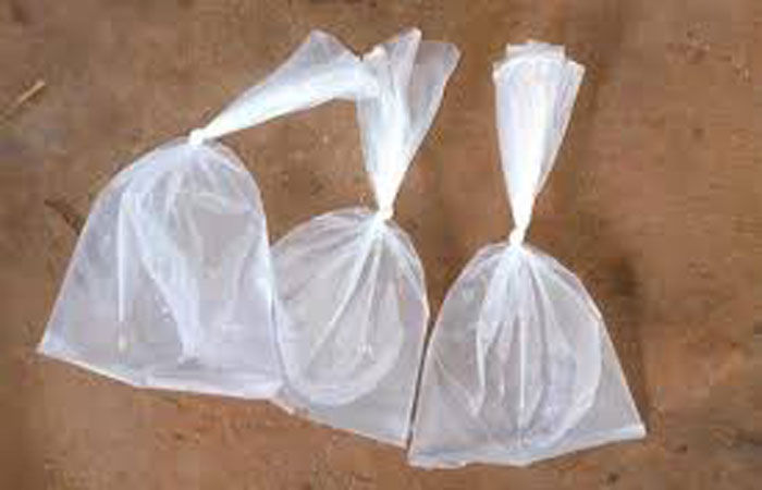 વાલેવડા ગામમાં દેશી દારૃના અડ્ડા બંધ કરવા રજૂઆત 1 - image