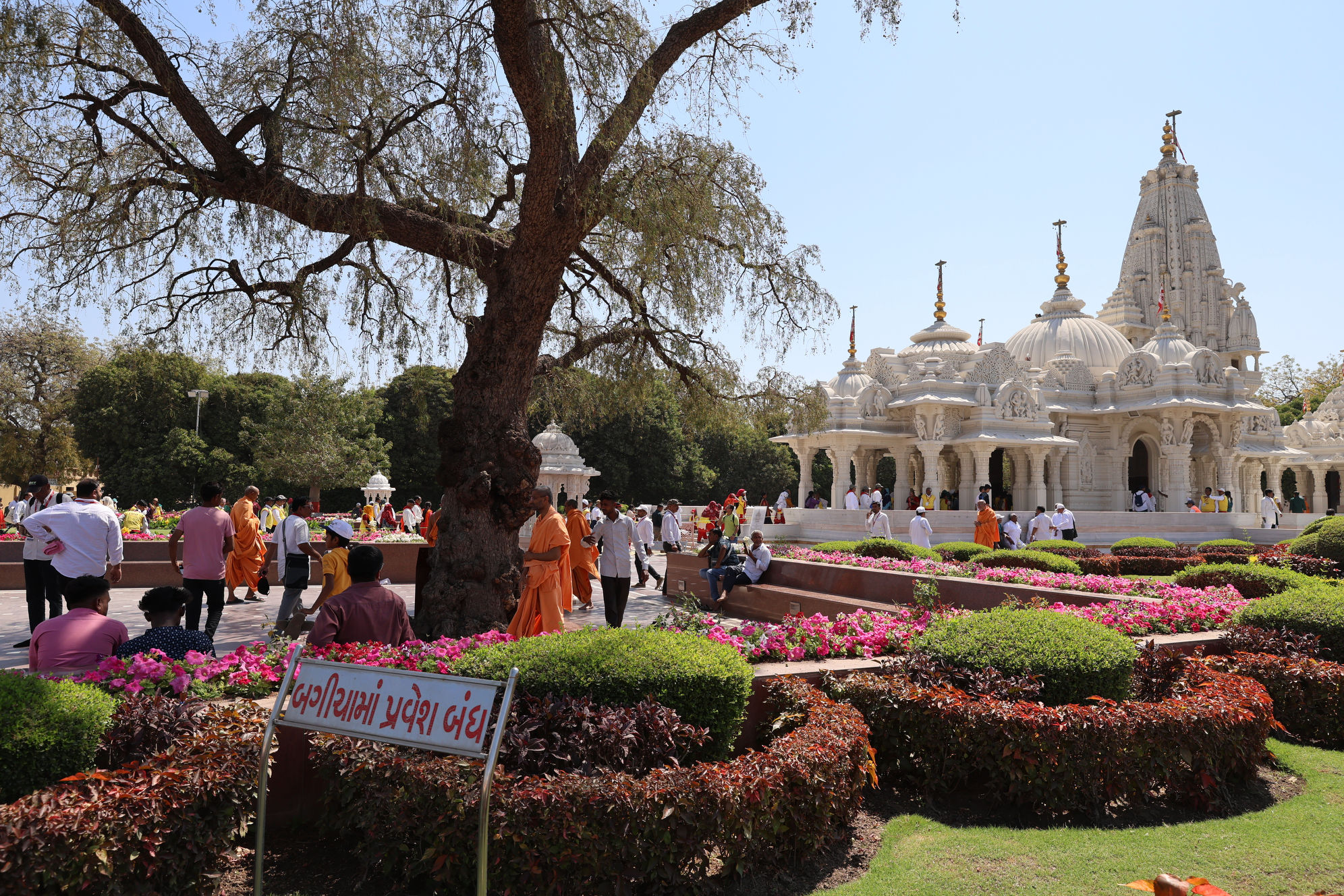 ૭૫૦૦૦ જેટલાં હરિભક્તો કેસૂડાની રંગવર્ષાની સાથે ભક્તિના  રંગોથી રંગાયા 5 - image