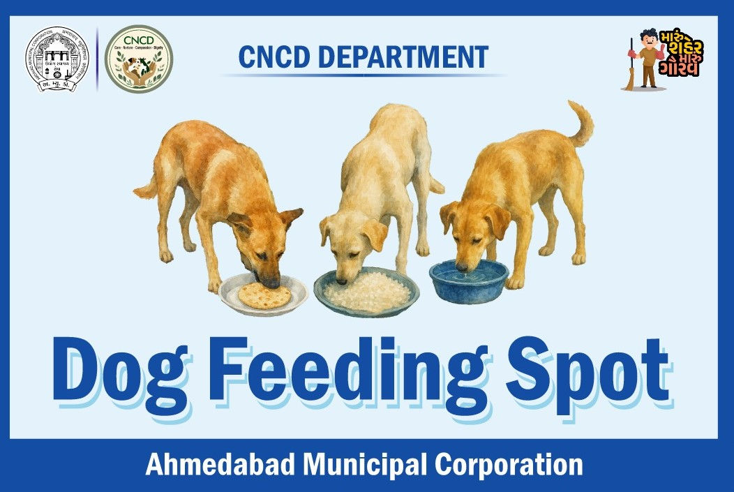 Ahmedabad civic body earmarks 126 feeding spots in new policy for pet and stray dogs