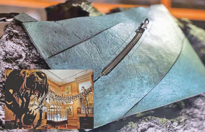 ડાયનાસોરના અવશેષોની મદદથી તૈયાર કરાયેલા ચામડાની બેગની હરાજી થશે 1 - image