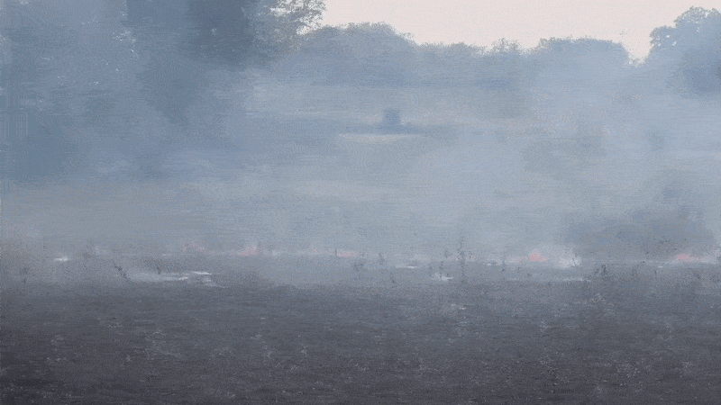 પંચમહાલ: શહેરાના પાલીખંડા રોડ પર ખેતરમાં ભીષણ આગ, કાળઝાળ ગરમી વચ્ચે પાક બળીને ખાખ 3 - image