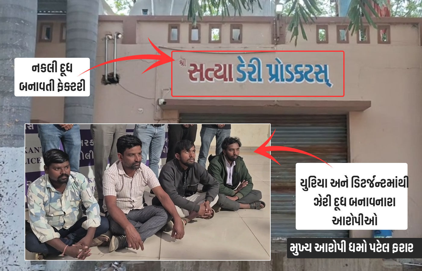 સાબરકાંઠા: નકલી દૂધના કૌભાંડનો મુખ્ય સૂત્રધાર ઝડપાયો, કોર્ટે 'સત્યા ડેરી'ના સંચાલકના 2 દિવસના રિમાન્ડ મંજૂર કર્યા 2 - image