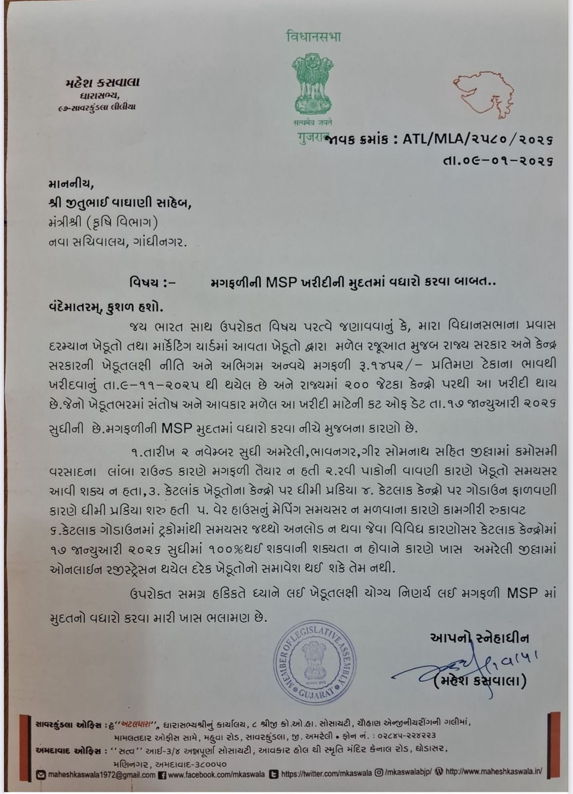 અમરેલી: 'ટેકાના ભાવે મગફળીની ખરીદી અધૂરી રહેશે, મુદત વધારો'.. કેન્દ્રની ધીમી નીતિ-માવઠુંને ભાજપ MLAએ ગણાવી જવાબદાર 2 - image