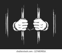 ૧૫ વર્ષની સગીરાને ભગાડી દુષ્કર્મ આચરનારા આરોપીને ૨૦ વર્ષની સખ્ત કેદ 1 - image