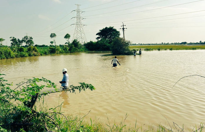 સાંતલપુર અને સુઈગામના રણમાં માથાડૂબ પાણી ભરાતાં મીઠા ઉદ્યોગને કરોડોનું નુકસાન 1 - image