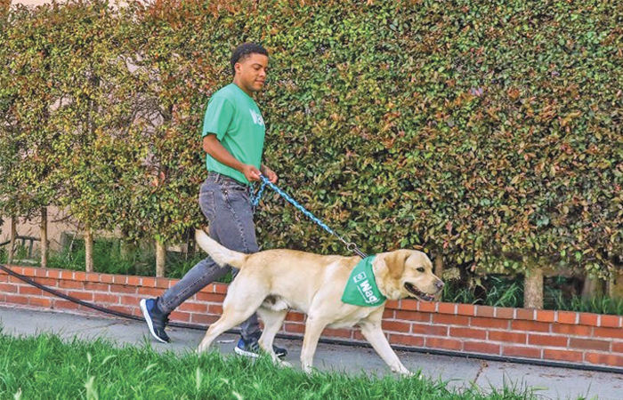 સુધા મૂર્તિ અને કિરણ મજમૂદારનો ડાન્સ વાઇરલ 2 - image