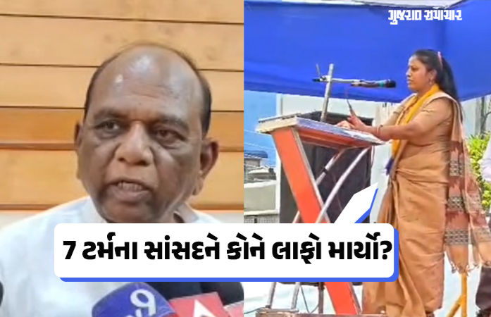 ચૈતર વસાવાની પત્નીનો દાવો, 7 ટર્મના સાંસદને ભાજપ નેતાએ લાફો માર્યો