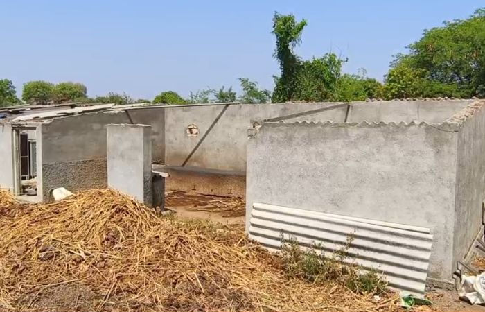 અમરેલીમાં ભારે પવન અને વરસાદને કારણે કેરીઓ ખરી પડી, સેજળ ગામે બાગાયતી પાકને ભારે નુકસાન 3 - image