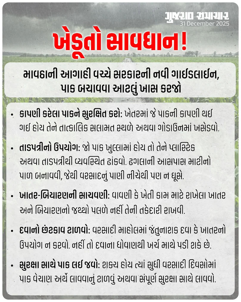 ખેડૂતો સાવધાન! માવઠાની આગાહી વચ્ચે સરકારની નવી ગાઇડલાઇન જાહેર, પાક બચાવવા આટલું ખાસ કરજો 2 - image