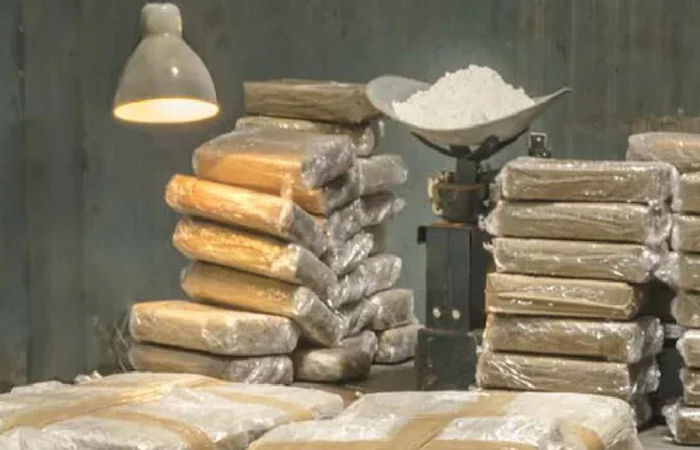 દિલ્હીમાં ડ્રગ્સનો 'દરિયો': બે હજાર કરોડ રૂપિયાનું કોકેઈન ઝડપાયું, GPSના કારણે થયો ભાંડાફોડ 1 - image