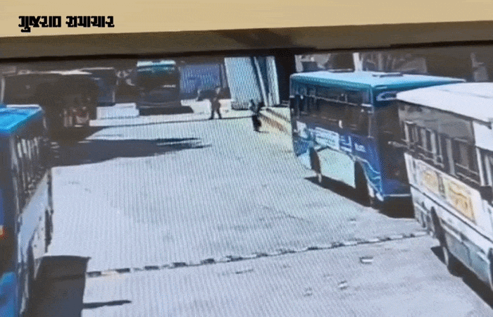 વડોદરા સેન્ટ્રલ બસ સ્ટેશનની દુર્ઘટના: શેડ ધરાશાયી થવાની ઘટનાના ચોંકાવનારા CCTV ફૂટેજ સામે આવ્યા 1 - image