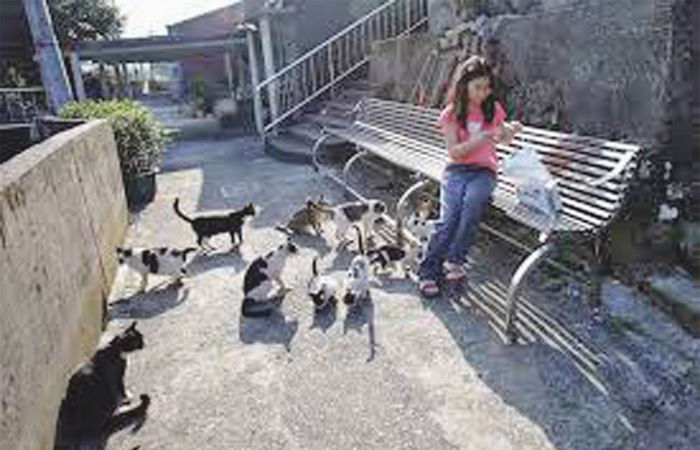 બજારની વાત                          . 3 - image