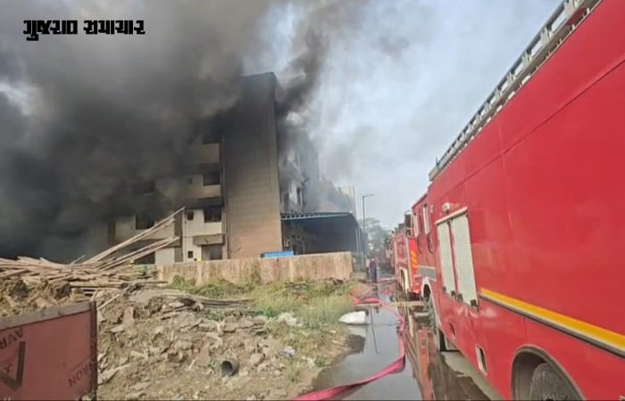 વાપીના વાઈબ્રન્ટ પાર્કની એક કંપનીમાં લાગી ભીષણ આગ, ફાયરની 8 ગાડી ઘટનાસ્થળે 3 - image