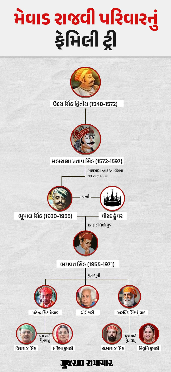 ઉદયપુરના સિટી પેલેસ સહિતની સંપત્તિઓ મામલે રાજ પરિવારના ભાઈ-બહેનમાં વિવાદ, સુપ્રીમ કોર્ટ પહોંચ્યો કેસ 2 - image