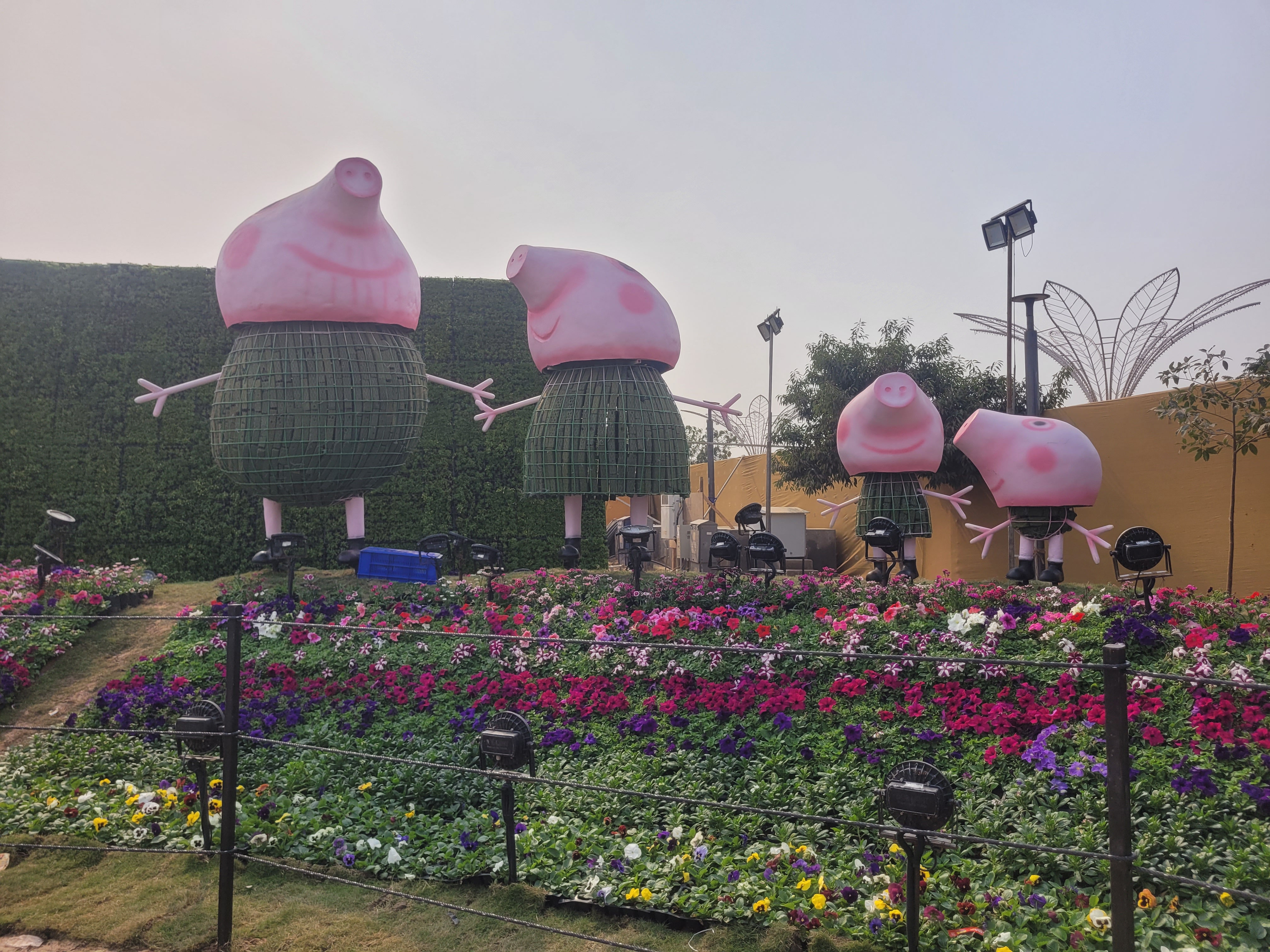 અમદાવાદમાં ફૂલોનો મનમોહક દરિયો! 1 જાન્યુઆરીથી ફ્લાવર શોનો પ્રારંભ, જાણો મુખ્ય આકર્ષણો અને ટિકિટના દર 14 - image