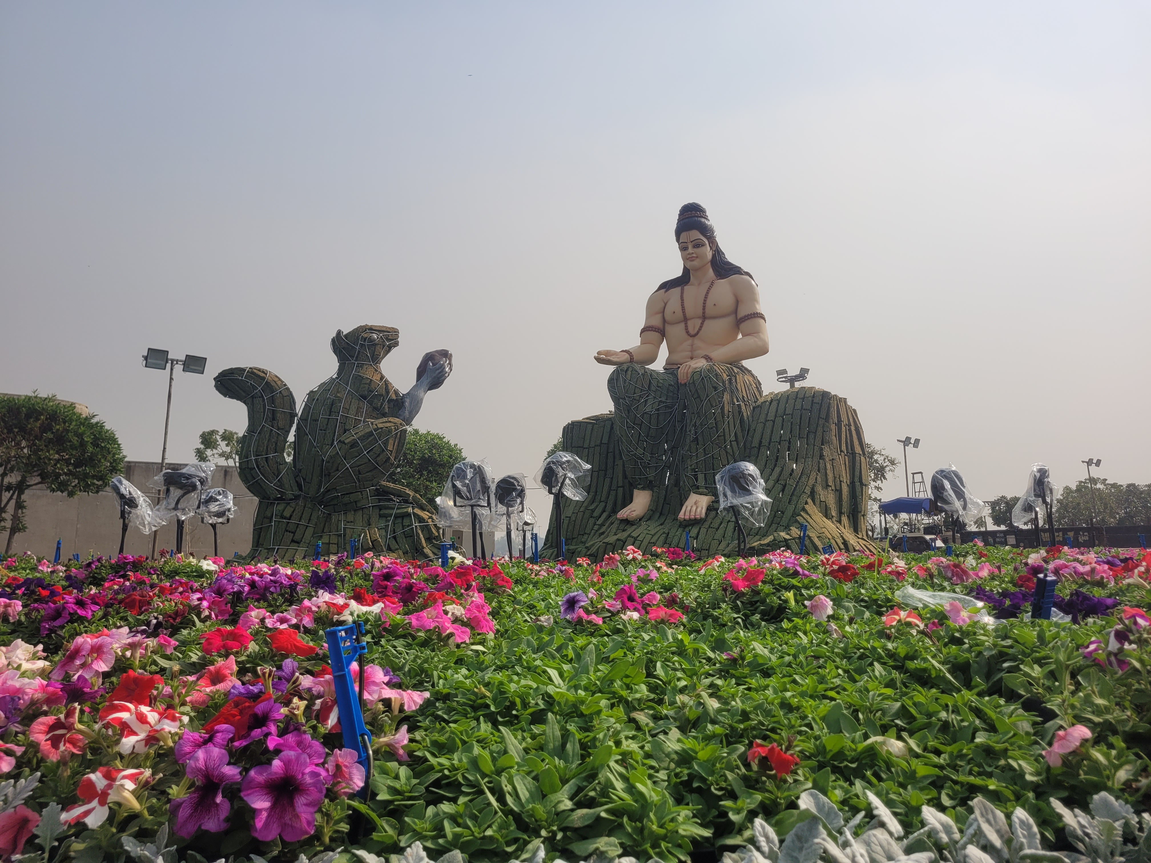 અમદાવાદમાં ફૂલોનો મનમોહક દરિયો! 1 જાન્યુઆરીથી ફ્લાવર શોનો પ્રારંભ, જાણો મુખ્ય આકર્ષણો અને ટિકિટના દર 6 - image