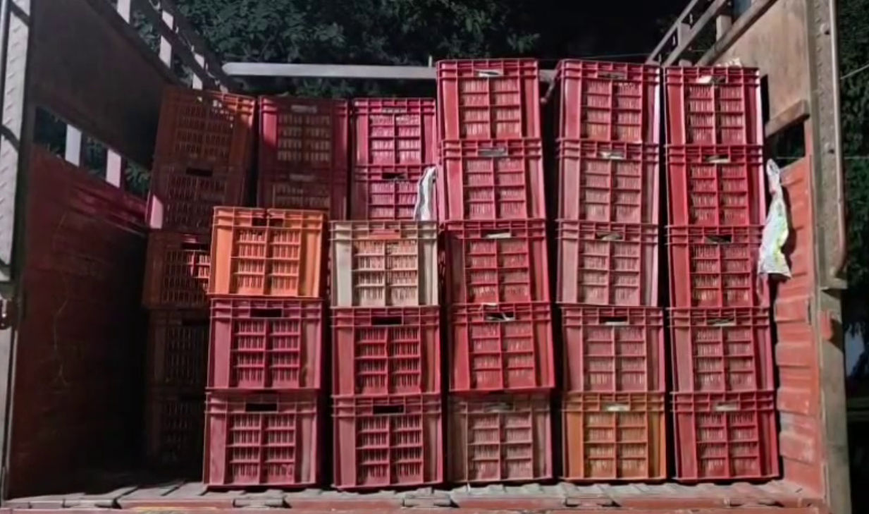 VIDEO: સંતરાની આડમાં શરાબની હેરાફેરી: મોરવાહડફમાંથી વિદેશી દારૂ ભરેલો ટેમ્પો ઝડપાયો, એકની ધરપકડ 3 - image