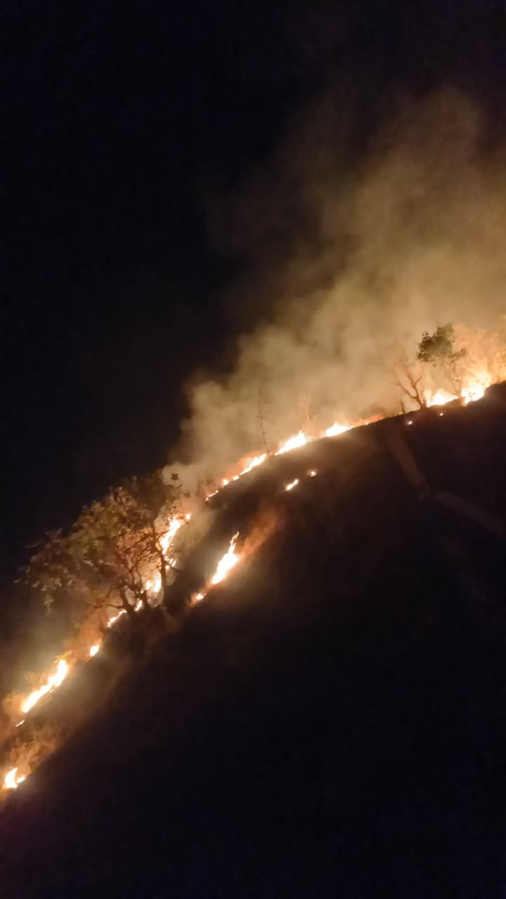 નસવાડીના કુકરદા જંગલમાં મધરાતે ભીષણ આગ: વન વિભાગ અને ગ્રામજનોએ એર ગનથી મેળવ્યો કાબૂ 3 - image