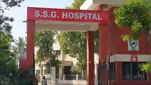 વાઘોડિયારોડ પર શેરી કૂતરાના કારણે ભયનો માહોલ 1 - image