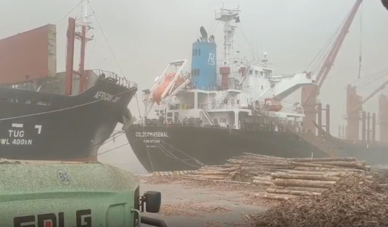 કચ્છમાં વંટોળ-અમદાવાદમાં આંધી, રાજકોટમાં 1 ઈંચ વરસાદ: ગુજરાતમાં જુઓ ક્યાં કેવો માહોલ 3 - image